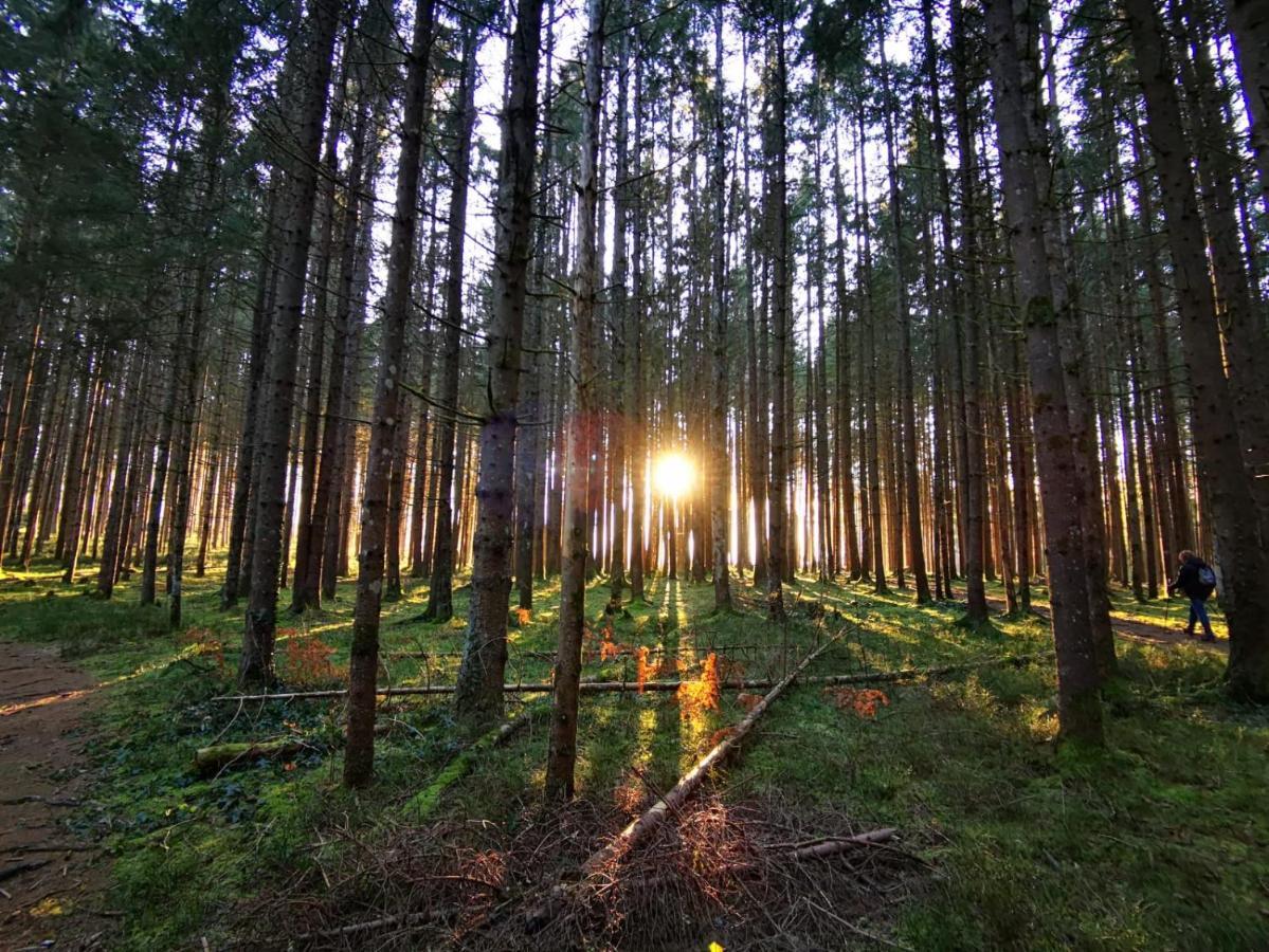 Landhotel Haeuserl Im Wald Грёбминг Экстерьер фото